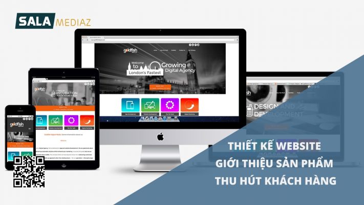 thiet-ke-website-gioi-thieu-san-pham