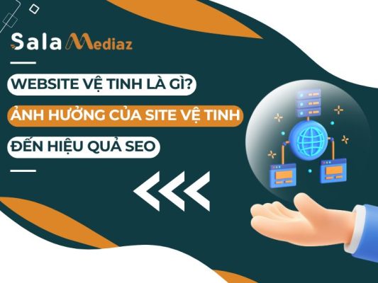 website ve tinh la gi